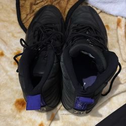 dark concord jordan 12