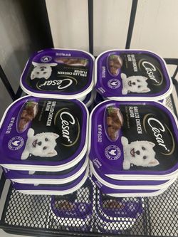 Cesar Dog Food 24ct 15$ Only