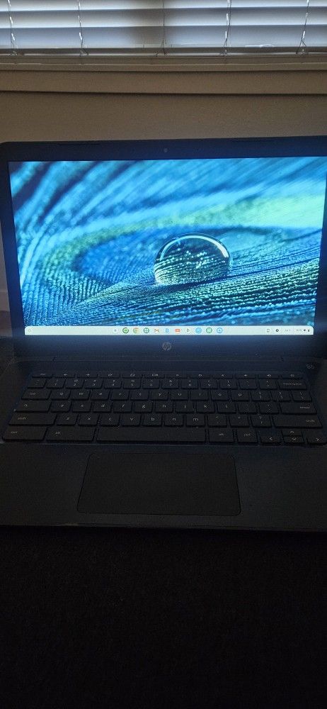 HP Google Chromebook 