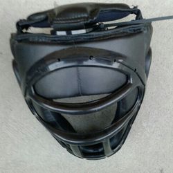 Martial Arts Head Gear