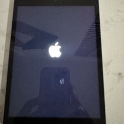 Mini iPad 