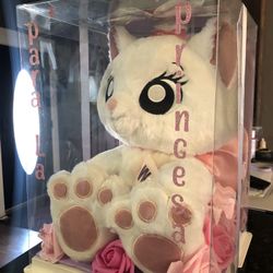 Caja Trasparente Con La Garita 