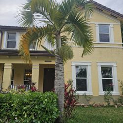 FREE Trees And Plants