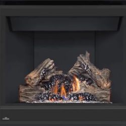 Gas Fireplace Napoleon