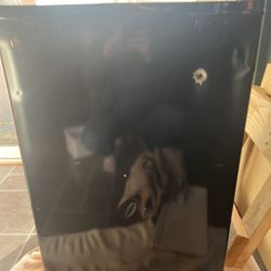 4.3 cu ft GE Compact Refrigerator with wood platform