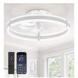 Ceiling fan for lights and remote