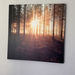 Art 40 X 40 / Cuadro 40 X 40