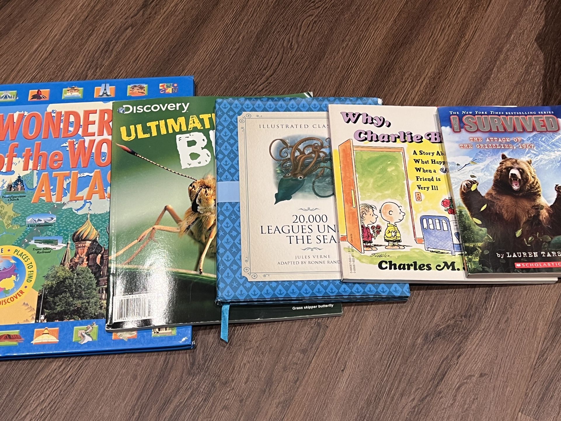 Assorted Kids Books