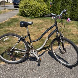 SCHWINN skyliner BIKE
