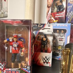 WWE Action Figure 