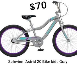 Brand New Schwinn Astrid 20" Bike Kids Gray