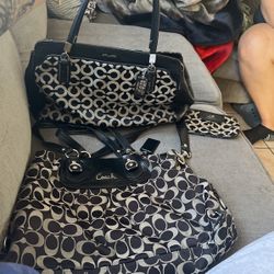 Coach Bags 
