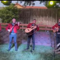 Mariachi Nuevo Union