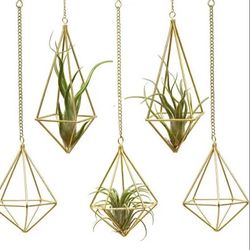 Air Plant Holders Hanging Or Wall Hanging 