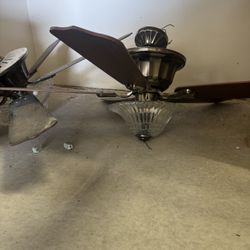 Ceiling fan