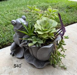 Frog succulent planter