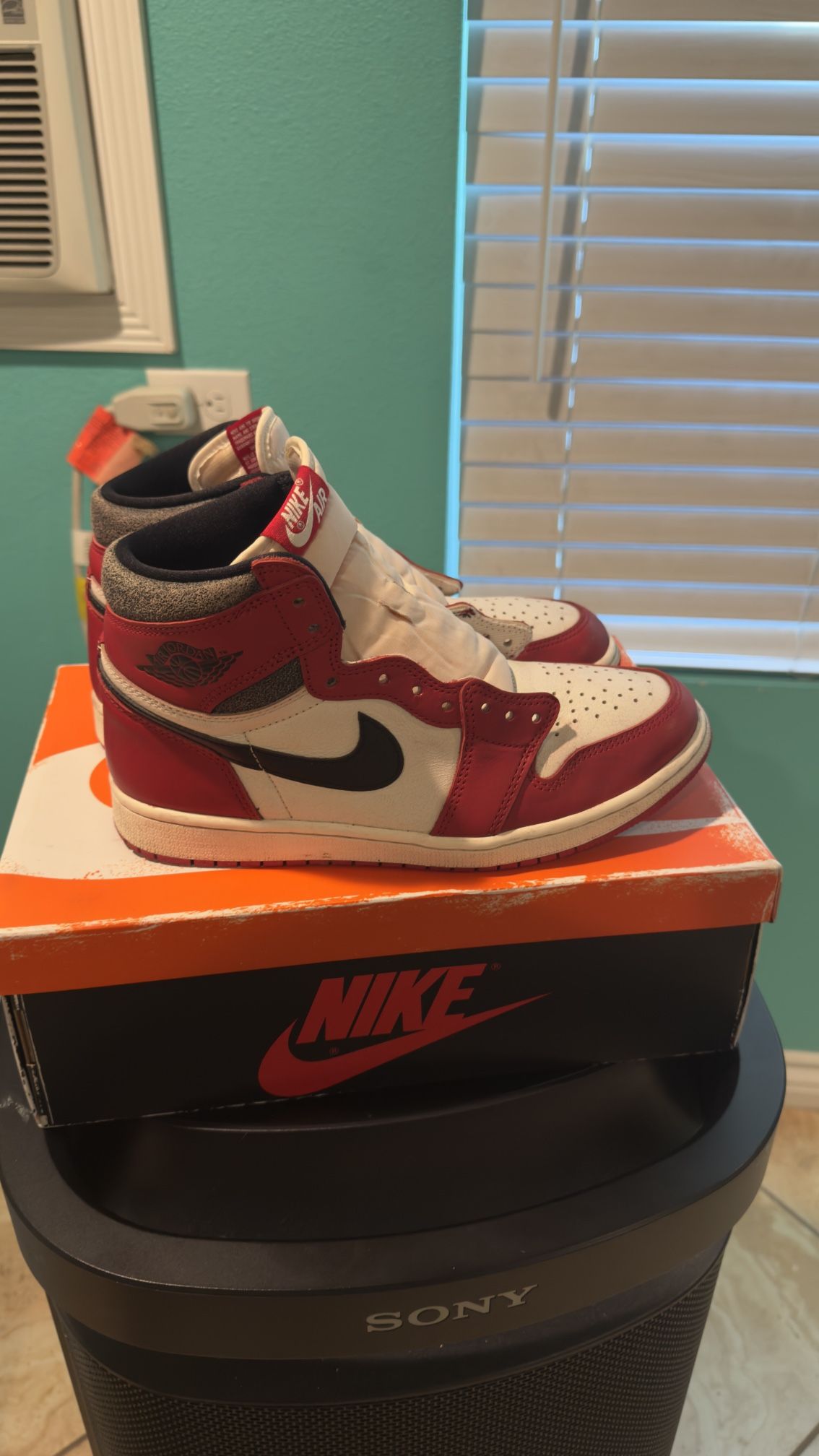 Jordan 1 Lost and Founds OG
