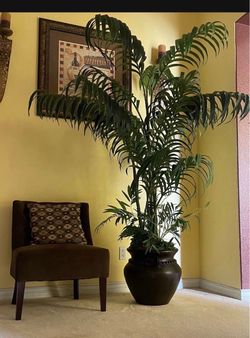 Artificial palm tree (fake)