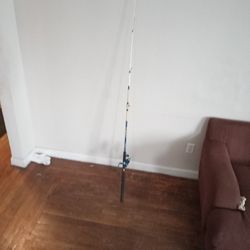 Fishing Pole Blue Reel 