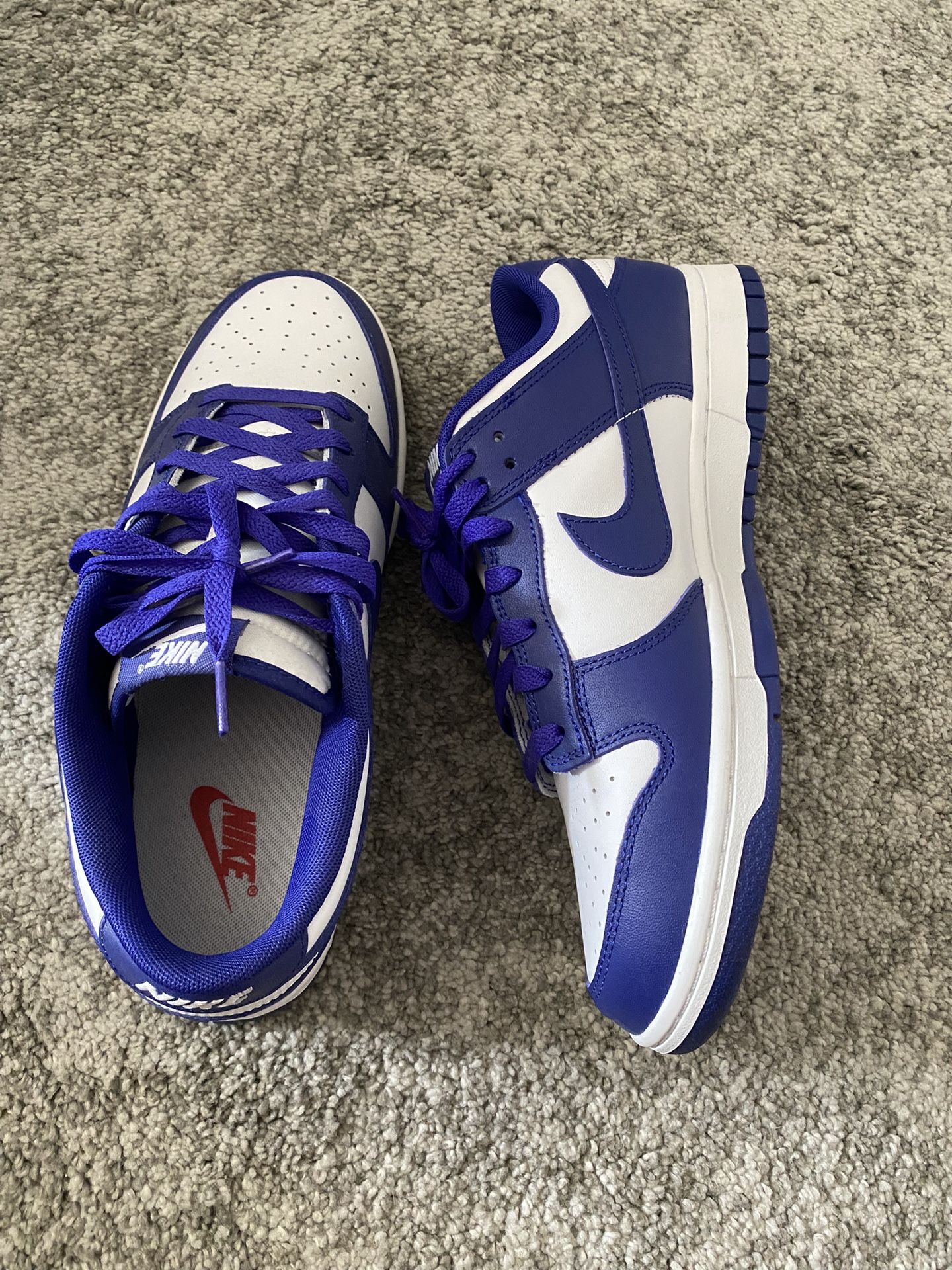 NIKE Dunks/Size 10 Men’s