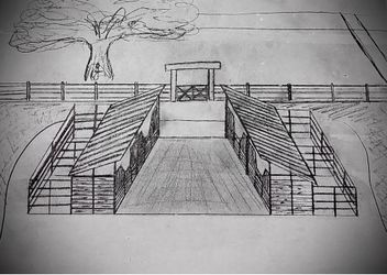 Free sketch design horse stables