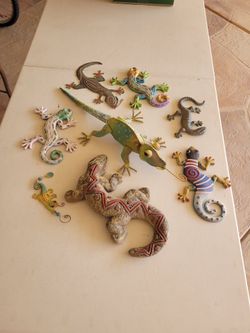 8  lizards