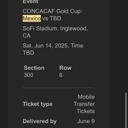 CONCACAF Gold Cup Game 