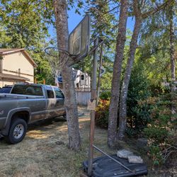 Basketball Hoop