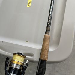 Fishing Pole And Reel Combo 