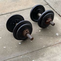 Pair Original Dumbbells