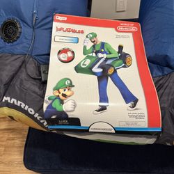 Luigi Adult Costume - Mario kart Inflatable