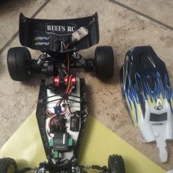 Losi Mini B Carpet Racers 