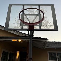 Basketball Board