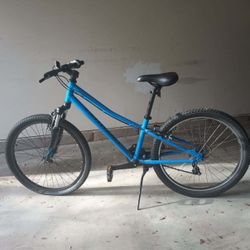 Specialized Renegade Boys Bike 24”  