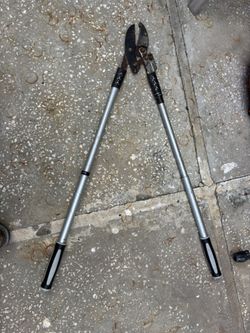 Used Cutting For Garden 