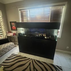 150 Gallons aquarium