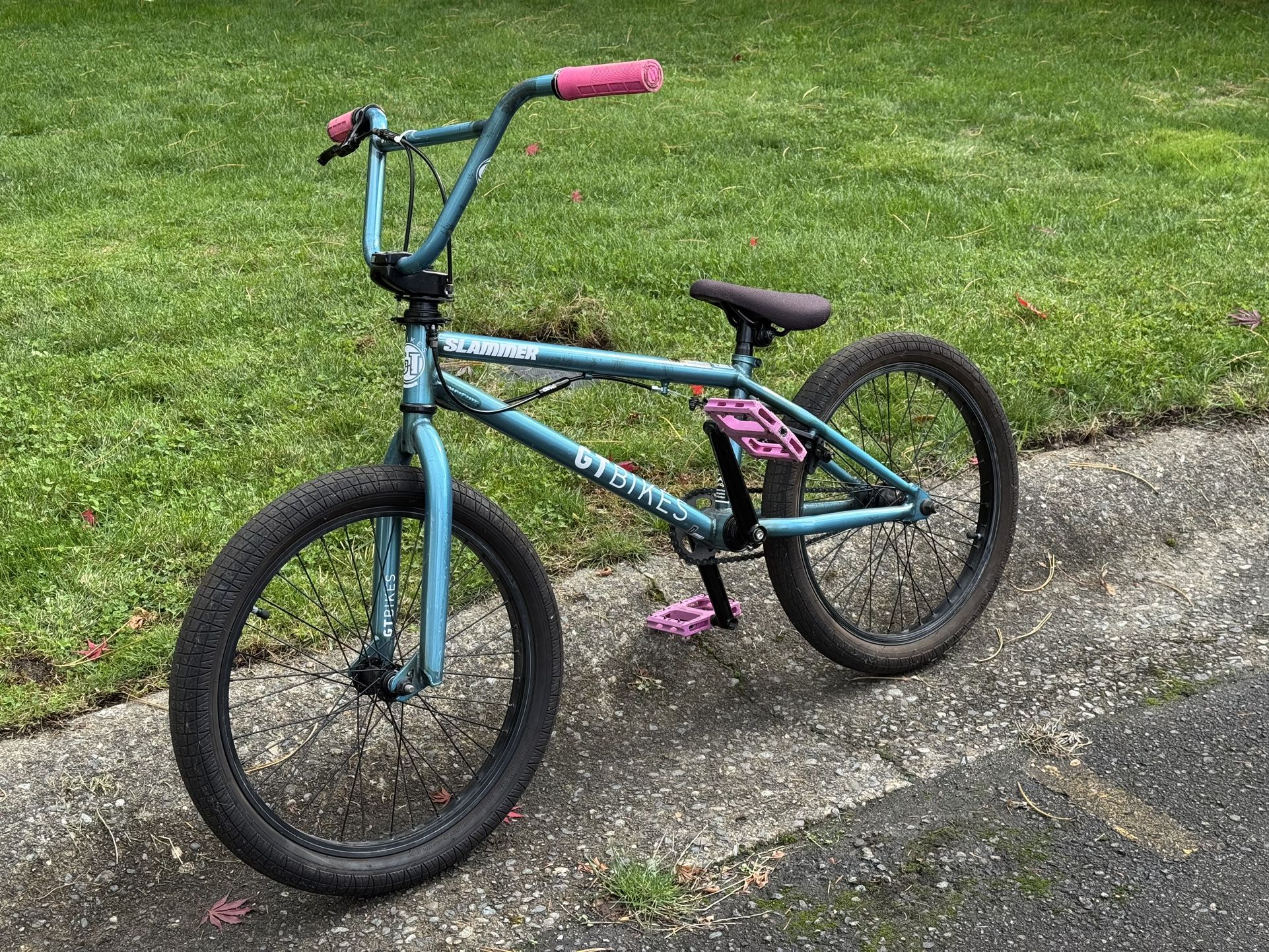 GT Bikes Slammer BMX Bike