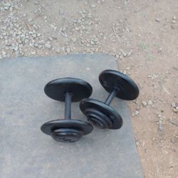 30lb Dumbbells 