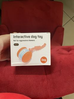 Interactive Dog Toy
