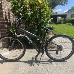 Youth/teen Trek Bike
