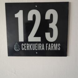 Orchard And Vineyards