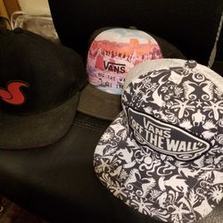 2ea. VANS OFF THE WALL HAT 1ea. DVS