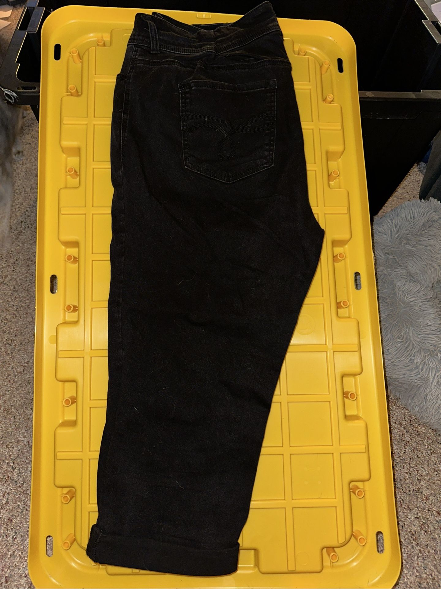 Women’s Capri