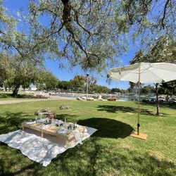 Picnic Table Set Up