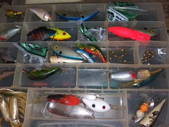 carnadas para pescar