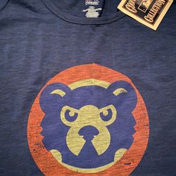 Chicago cubs Shirt And Hat