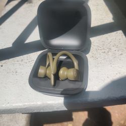 Beats Powerbeats Pro wireless earbuds in their charging case. 