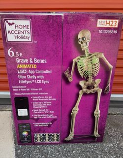 Animated talking skeleton