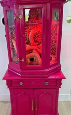 Customized reptile enclosure