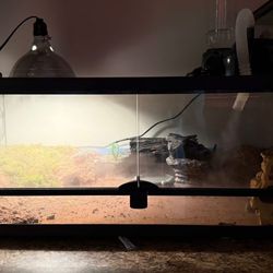 Reptiles Terrarium  36x18x14